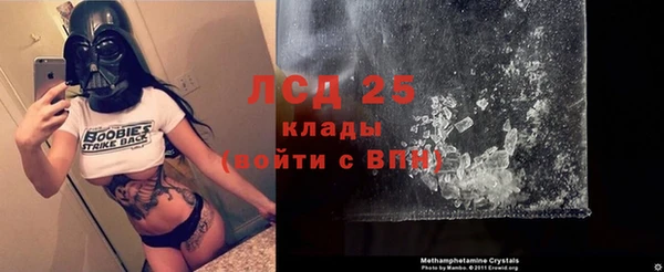 стаф Алексин