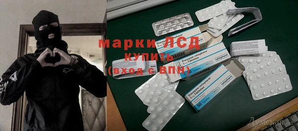 стаф Алексин