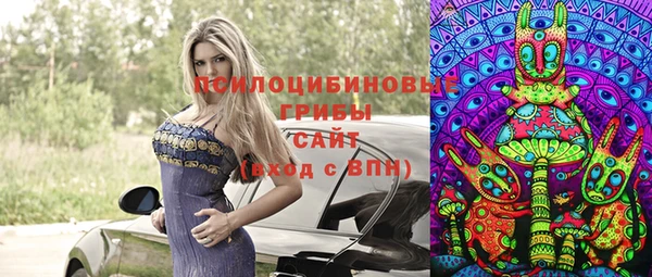 спайс Алзамай